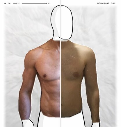 Torso Comparison