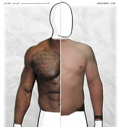 Torso Comparison