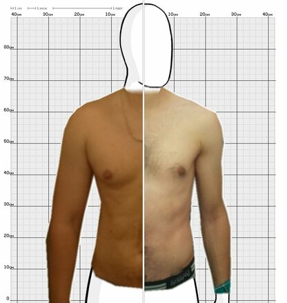 Torso Comparison