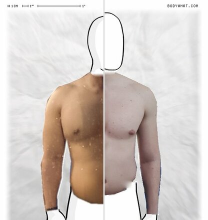 Torso Comparison