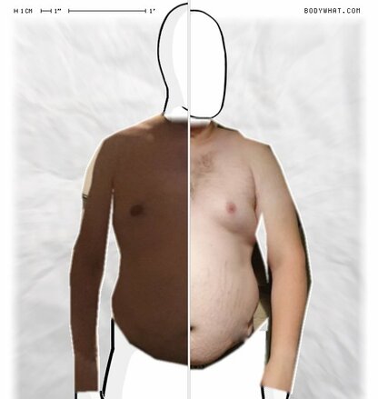 Torso Comparison