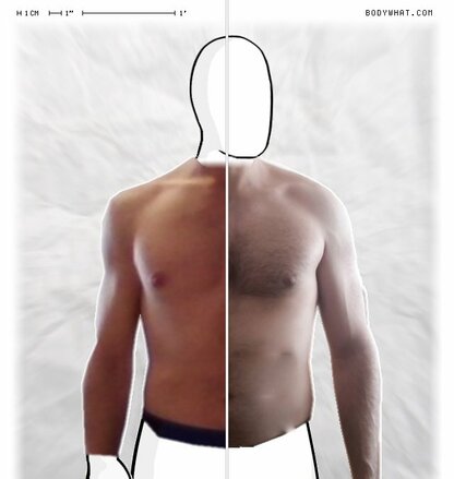 Torso Comparison