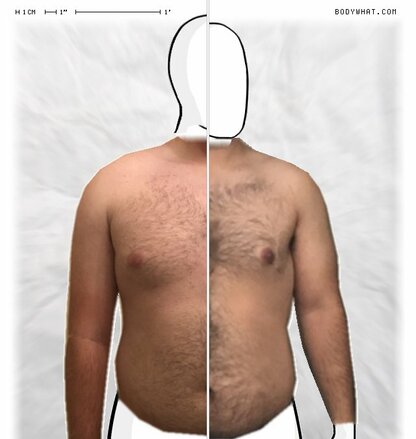 Torso Comparison