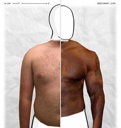 Torso Comparison