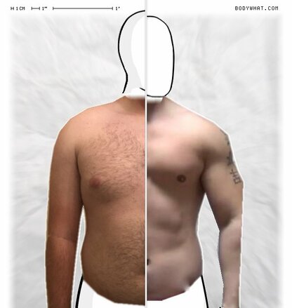 Torso Comparison