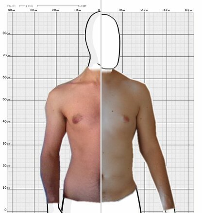 Torso Comparison