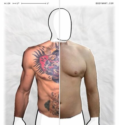 Torso Comparison