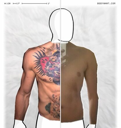 Torso Comparison