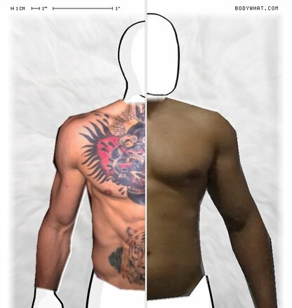 Torso Comparison