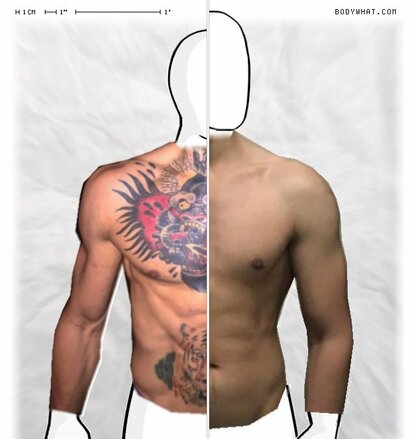 Torso Comparison