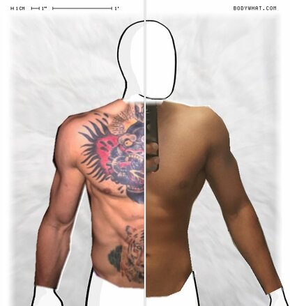 Torso Comparison