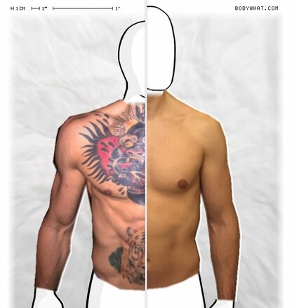 Torso Comparison