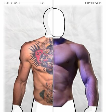 Torso Comparison