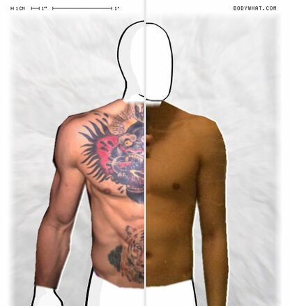 Torso Comparison