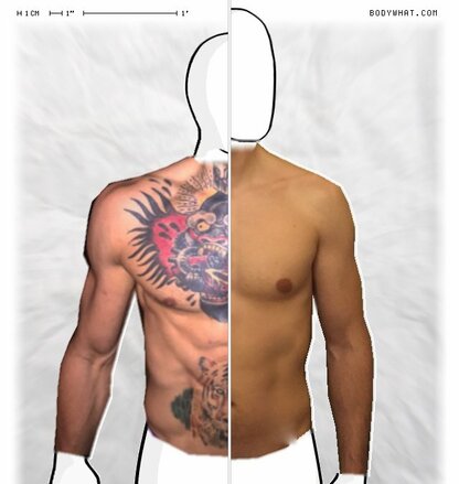 Torso Comparison