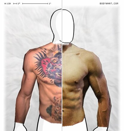 Torso Comparison