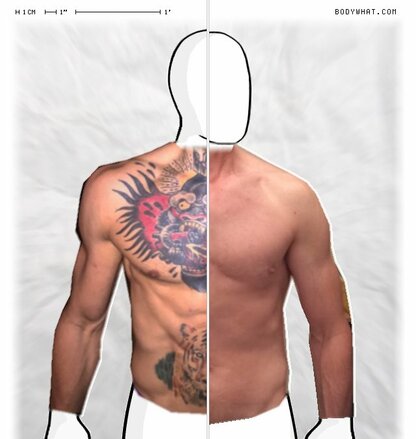 Torso Comparison