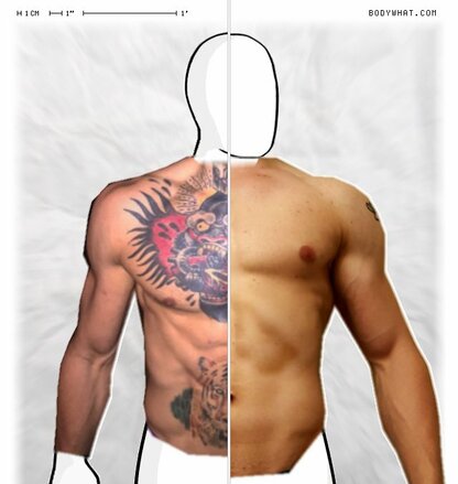 Torso Comparison