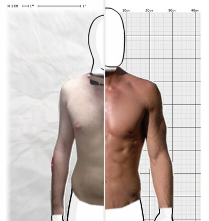 Torso Comparison