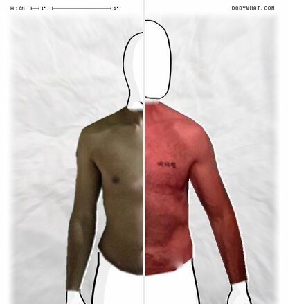 Torso Comparison