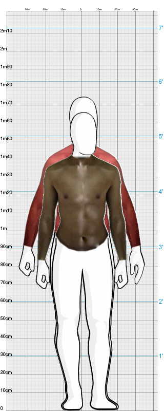 Full Size Comparison