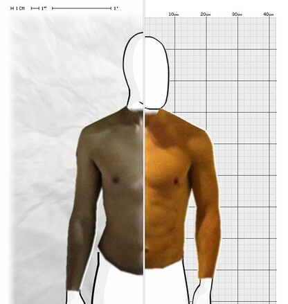 Torso Comparison