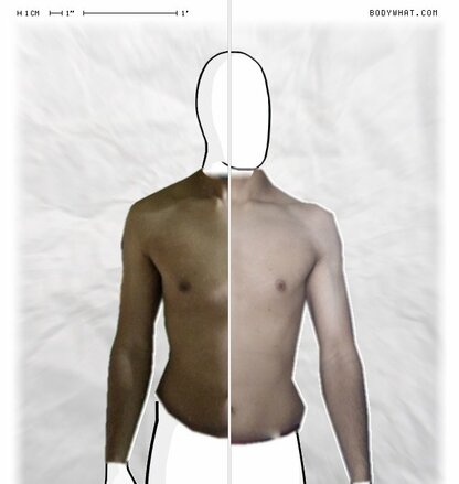 Torso Comparison