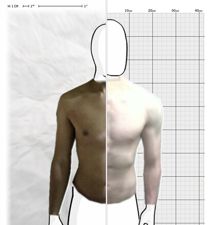 Torso Comparison