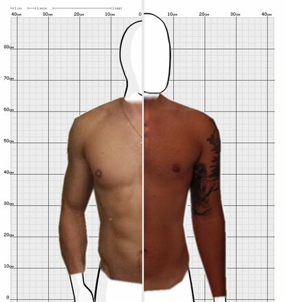 Torso Comparison