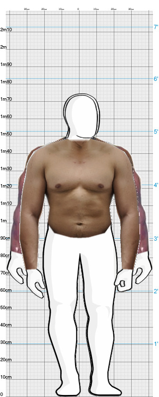 Full Size Comparison