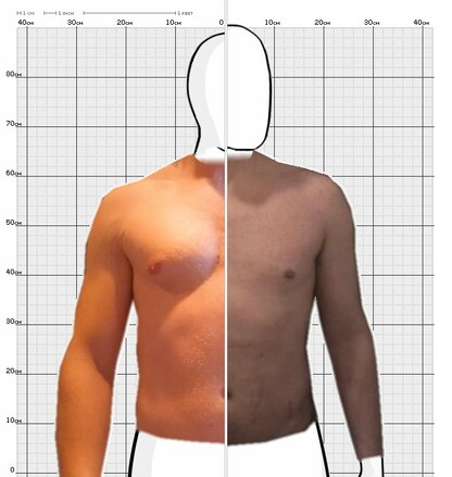 Torso Comparison