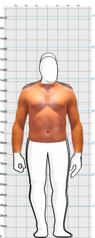 Full Size Comparison