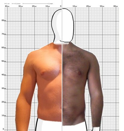 Torso Comparison