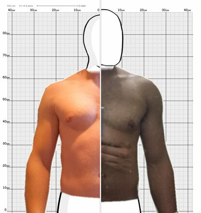 Torso Comparison