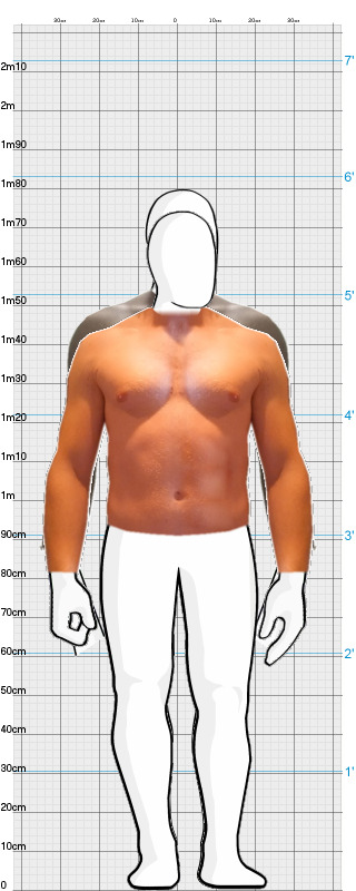 Full Size Comparison