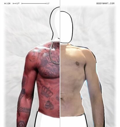 Torso Comparison