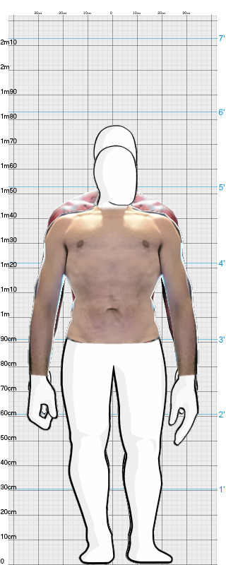 Full Size Comparison