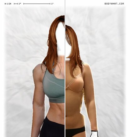 Torso Comparison