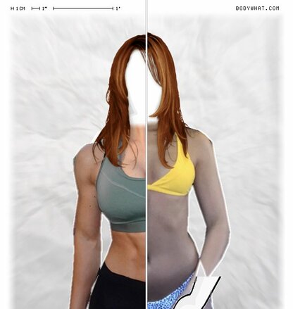 Torso Comparison