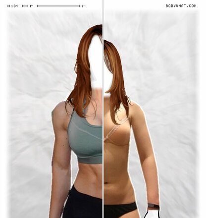 Torso Comparison