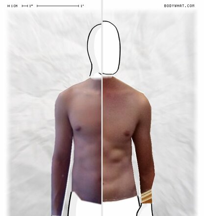 Torso Comparison