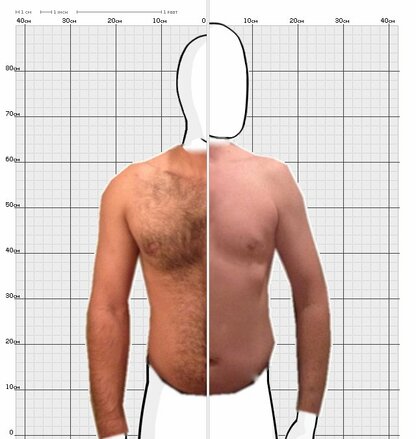 Torso Comparison