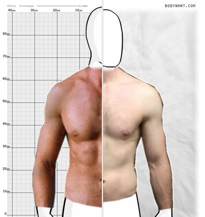 Torso Comparison