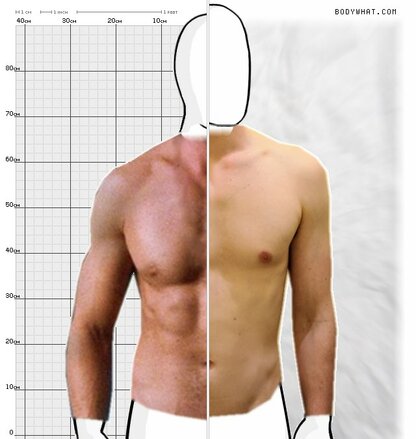 Torso Comparison