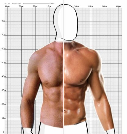 Torso Comparison