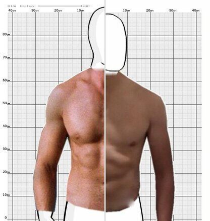 Torso Comparison