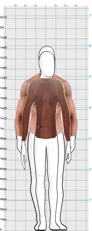 Full Size Comparison