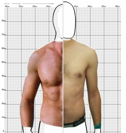 Torso Comparison