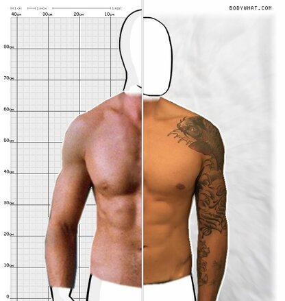 Torso Comparison