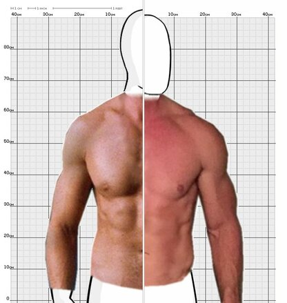 Torso Comparison